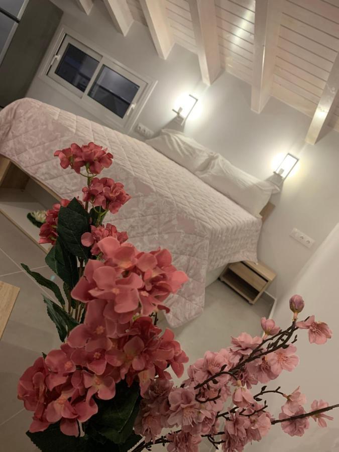Terpsichore Boutique Bright New Sofita Studios And Appartment Dassia  Ngoại thất bức ảnh