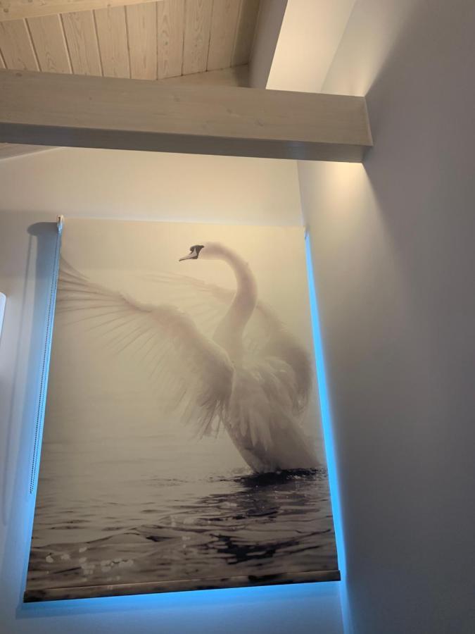 Terpsichore Boutique Bright New Sofita Studios And Appartment Dassia  Ngoại thất bức ảnh